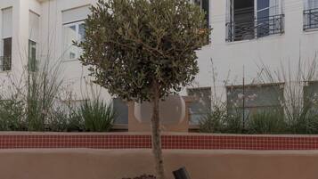 Terraza en la azotea
