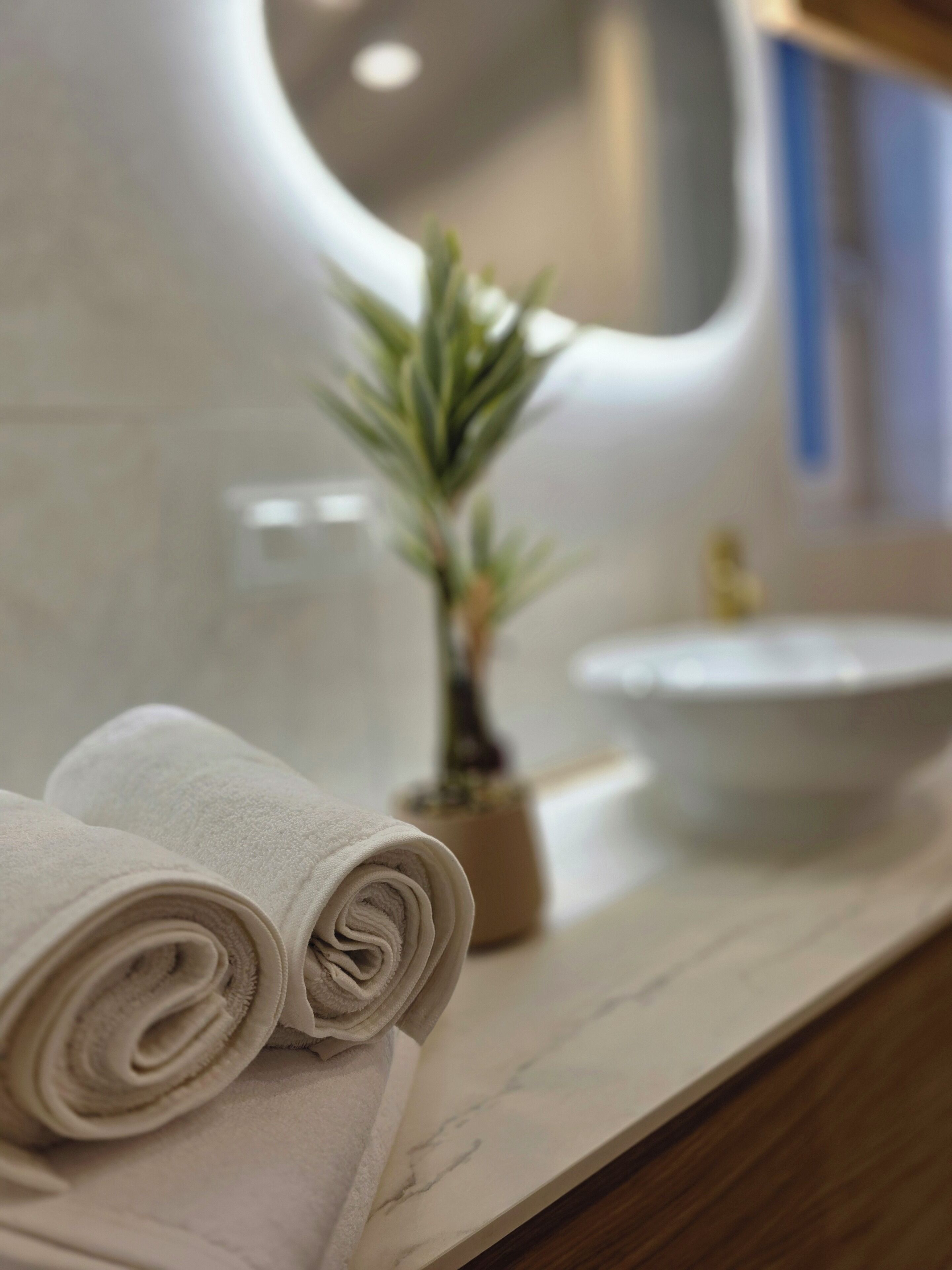 A bathroom with a marble countertop, a sink, and a small potted plant.