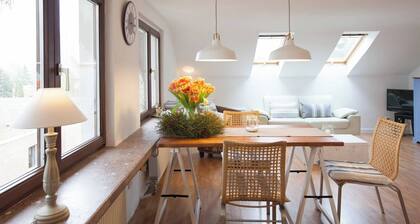 3-room attic apartment in Mainz near the university