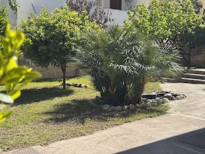 Jardín
