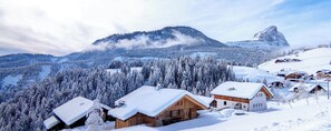 Exterior - Chalet 'Mountain Rich' with Mountain Views, Private Sauna and Whirlpool (Sankt Martin in Thurn)