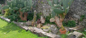 Villa Vista Ajo – Historic Charm with Garden and Stunning Views