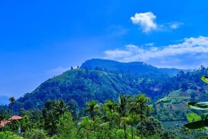 Deluxe Room, Balcony, Mountain View | Miscellaneous