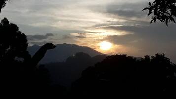 Dobbeltrom – basic, balkong, fjellutsikt | Diverse