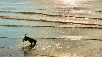 House, 2 Bedrooms, Smoking, Garden View | Beach