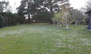 Àrea exterior de l'allotjament