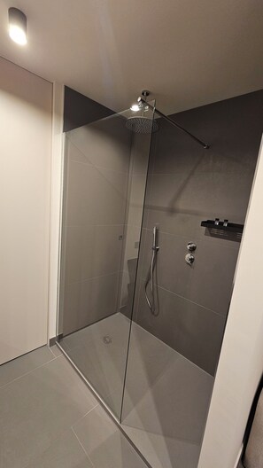 Regadera, secadora de cabello, bidet, toallas 