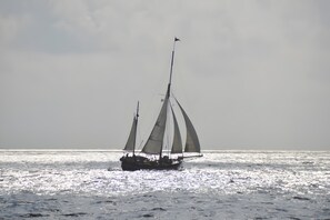 Miscellaneous - Apartment 'Gästehaus Am Fischerweg Seerose' with Shared Garden, Balcony and Wi-Fi (Lauterbach)