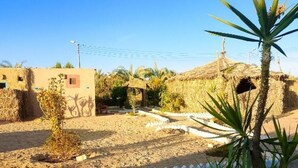 A sandy courtyard with a palm tree, a small building with a thatched roof, and a white picket fence. - Double Room (Marsa Matrouh Governorate)