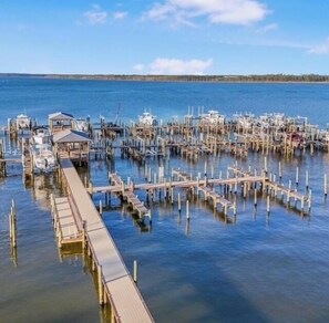 Marina - The Wild Wahoo by Liquid Life (Orange Beach)