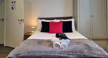 Quiet, Stylish Studio in Ranelagh’s Best Location