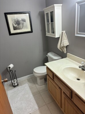 Regadera, secadora de cabello, toallas, jabón 