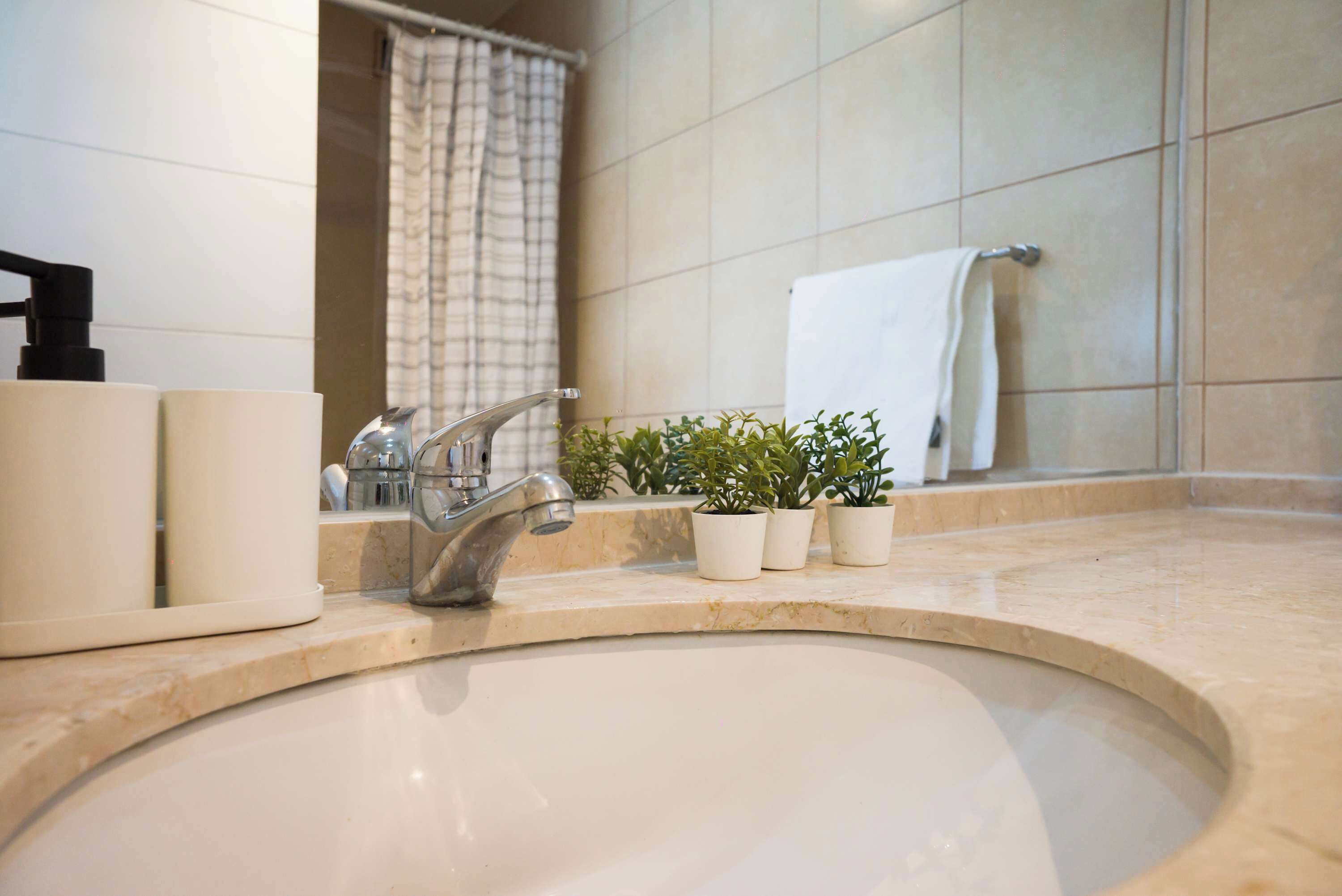 Unwind in this stylish bathroom with a marble countertop and refreshing greenery, perfect for a relaxing retreat.