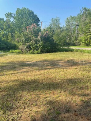 Miscellaneous - Private Campsite - 4.5 Miles From DOWNTOWN Mackinaw City (Carp Lake)