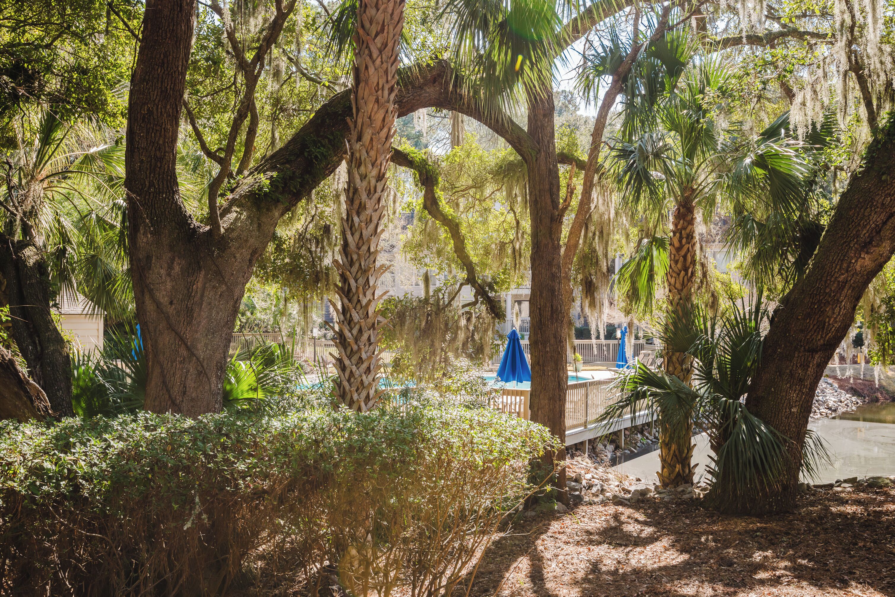 A lush garden with mature trees, a wooden deck, and a pool area.