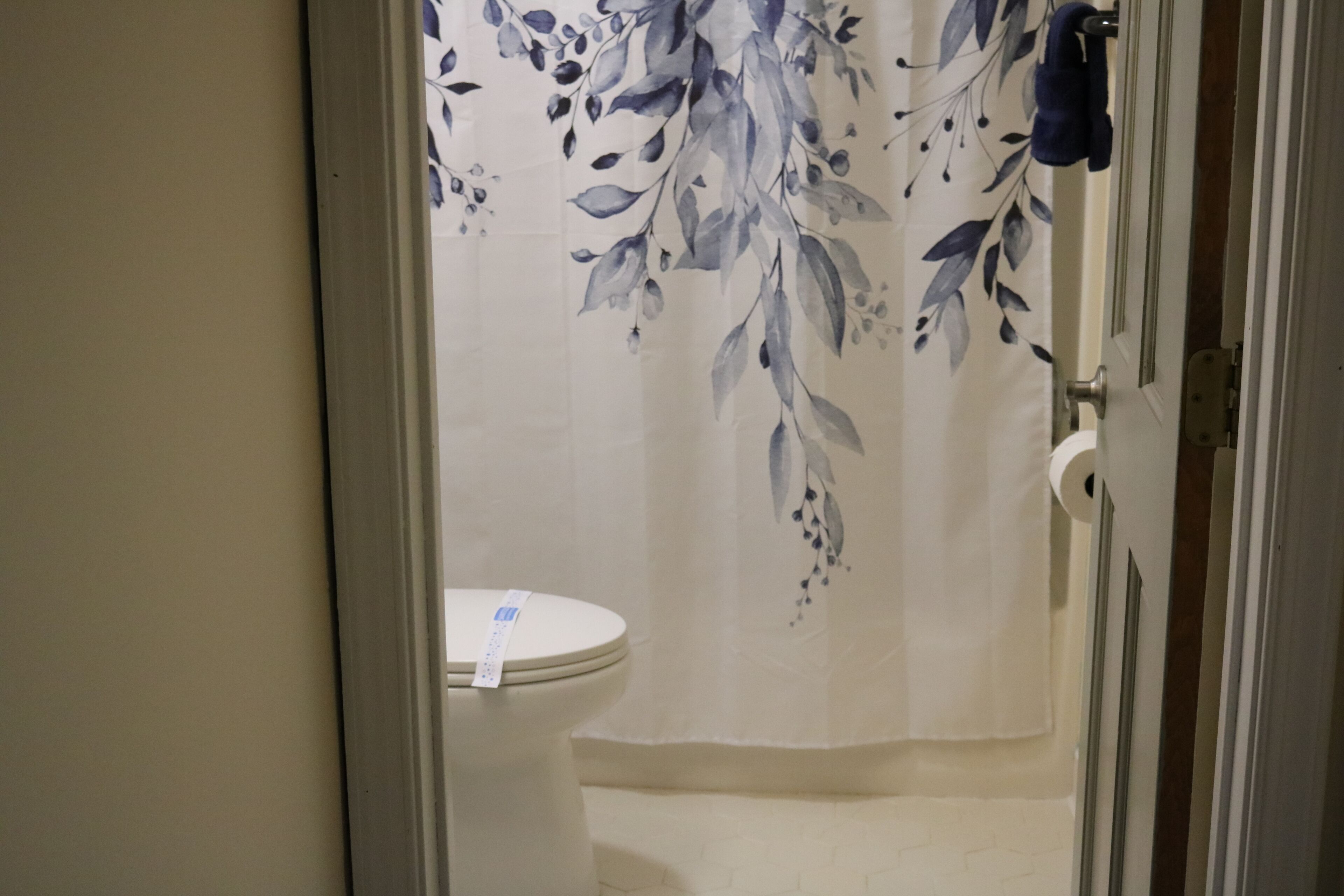 Hair dryer, towels, soap, toilet paper