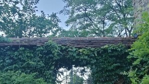 A stone staircase leading to a metal gate, surrounded by lush greenery and a stone wall. - Exceptional gîte in the heart of a 12-hectare natural estate (Le Buisson-de-Cadouin)