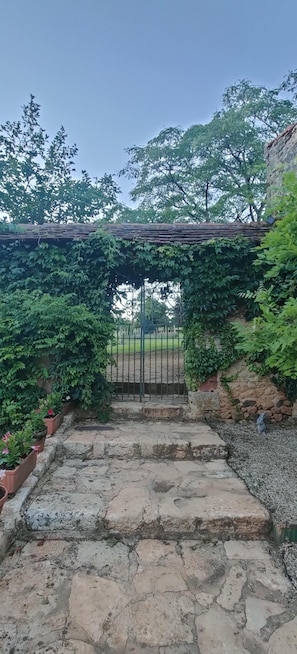 Property grounds - Exceptional gîte in the heart of a 12-hectare natural estate (Le Buisson-de-Cadouin)