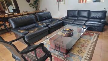 TV, caminetto, lettore DVD, libri