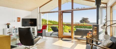 Televisión y chimenea