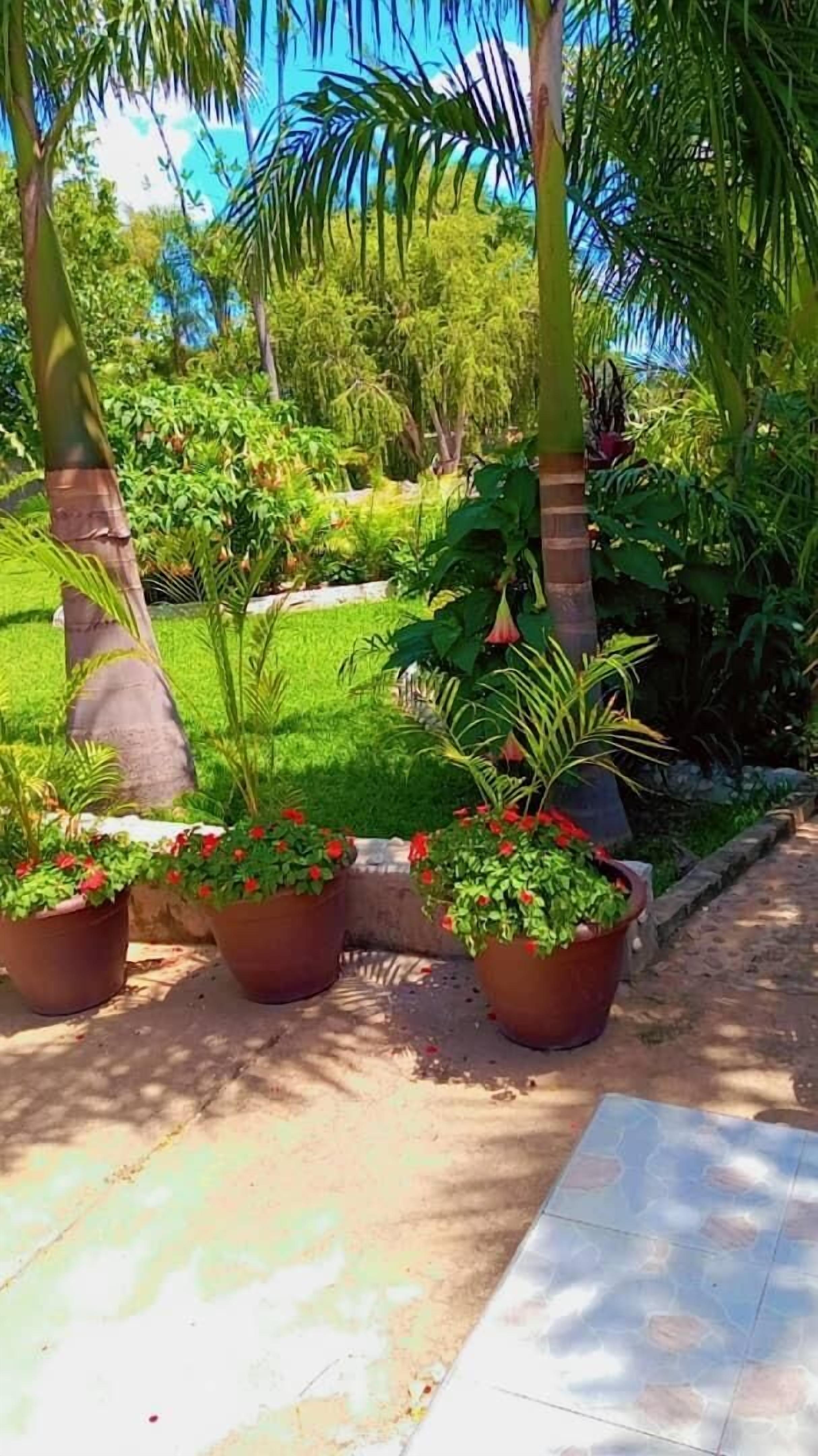 Jardines del alojamiento