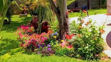 Jardines del alojamiento