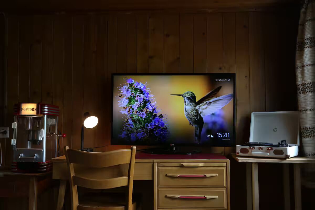 Television