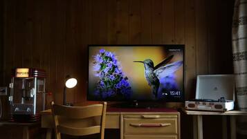 Television