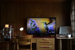 Television