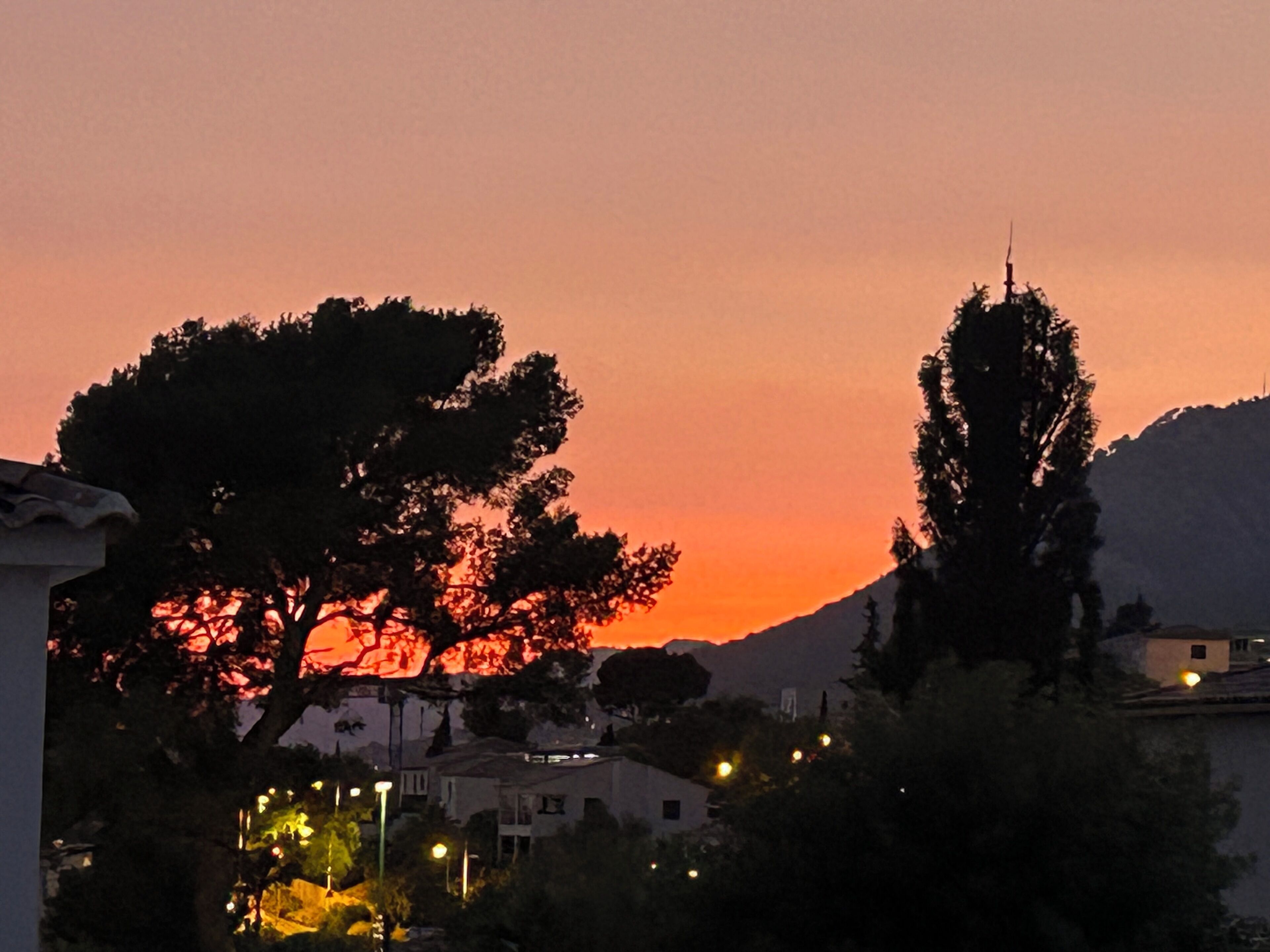 Ein Sonnenuntergang mit einem Berg im Hintergrund und Bäumen im Vordergrund.