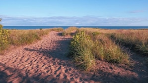 A sandy path leading to the sea with grass on either side. - Golf Cart, Resort Pools, Sandy Beach, Pickleball (Michigan City)