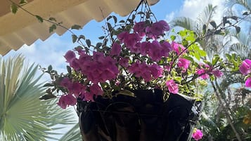 DĂ©tail de lâextĂ©rieur