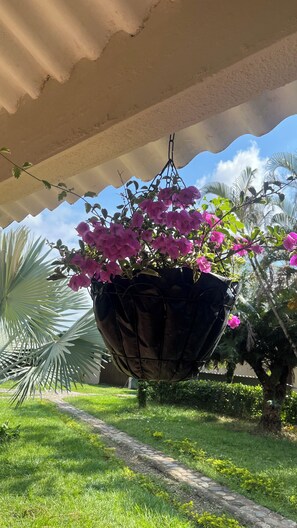 외부 세부 사진