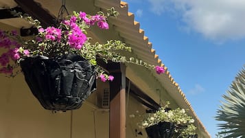 Detalle del exterior