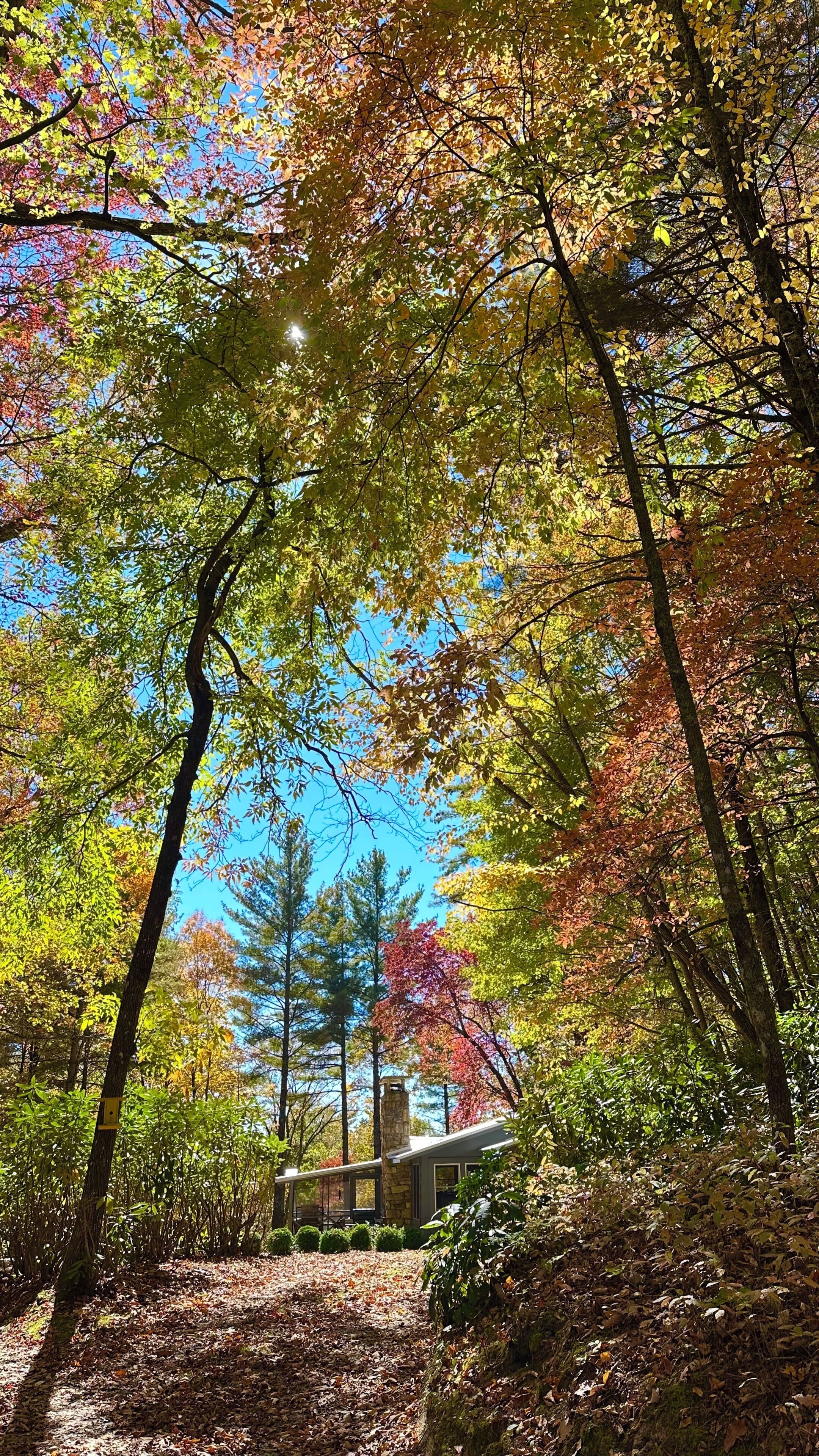 Une zone boisée avec un bâtiment en pierre, probablement un chalet ou une cabane, entouré d’arbres aux feuilles d’automne.