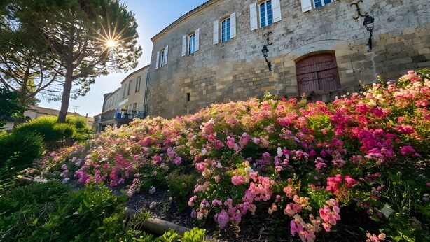 Un bâtiment en pierre doté de nombreuses fenêtres et d’une porte rouge, entouré d’un jardin où poussent diverses plantes à fleurs.