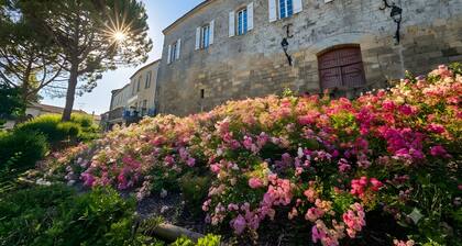 Gîte Du Chasselas – Prayssas – Lot-et-Garonne