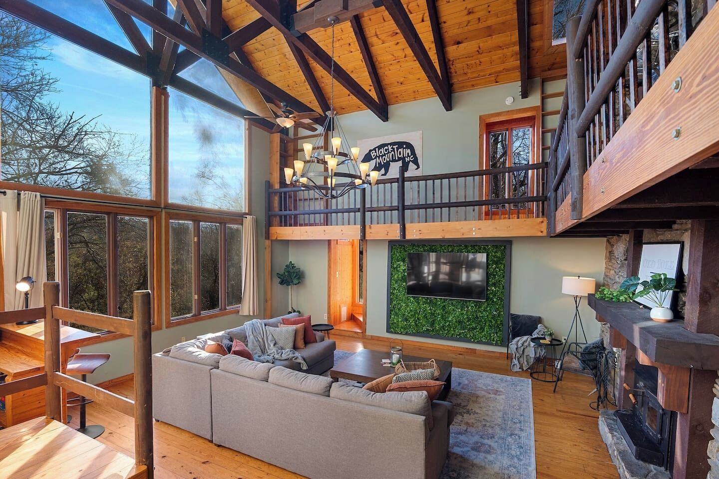 TV, fireplace, video games, DVD player