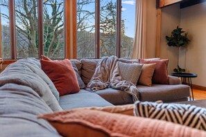 Televisión, chimenea, videojuegos y reproductor de DVD 