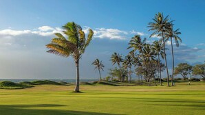 Ein Golfplatz mit freiem Blick auf den Ozean, Palmen und einem gepflegten Grün.