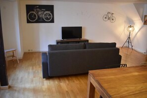 Smart TV, stereo - La Tour du Rempart - T2 duplex apartment in the heart of Colmar (Colmar)