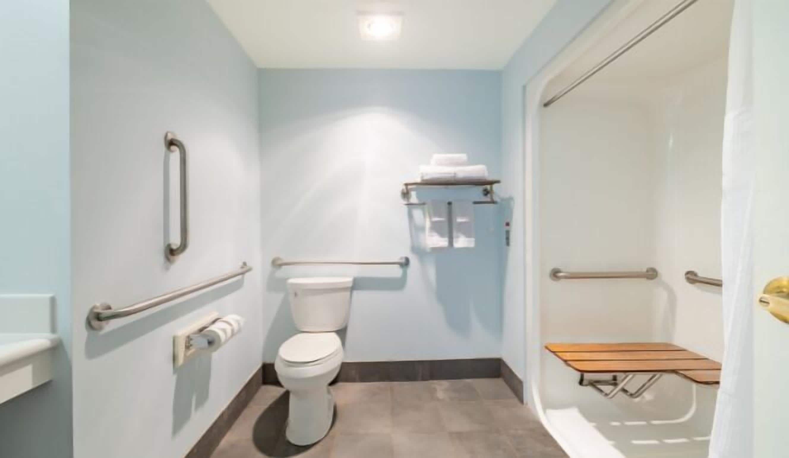 A bathroom with a toilet, handrails, a towel rack, and a shower area.