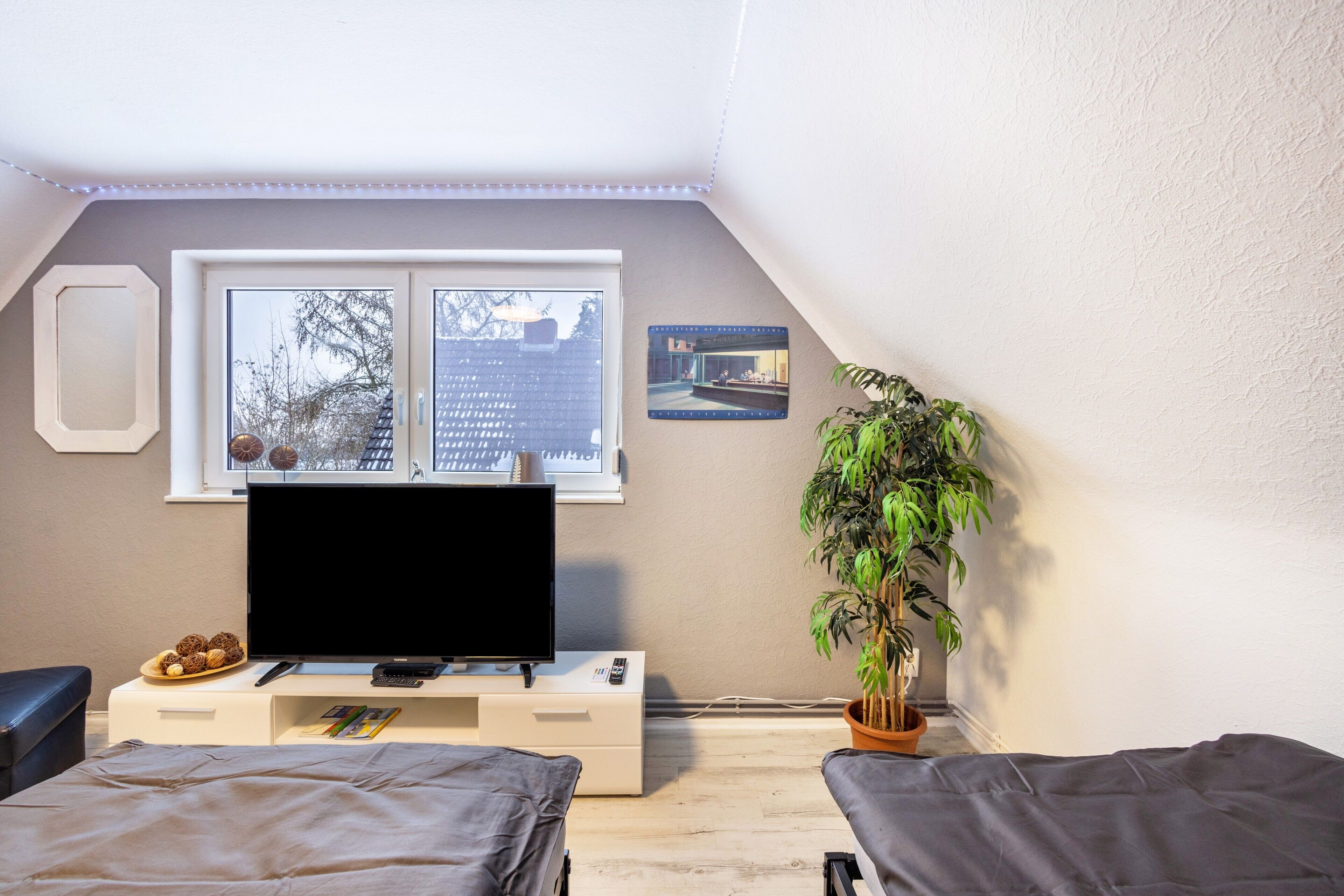 A bedroom with a TV, a desk, a potted plant, and a window with a view of trees.