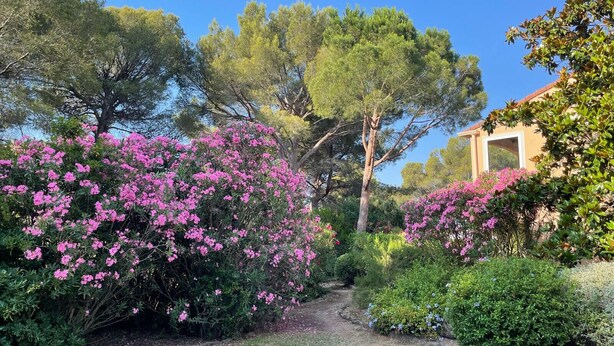 Property grounds - LA Péguière, 2-room apartment (27m²), for 2 adults and 1 child, air-conditioned, garden, parking and beach 5 minutes walk away (Saint Raphael)