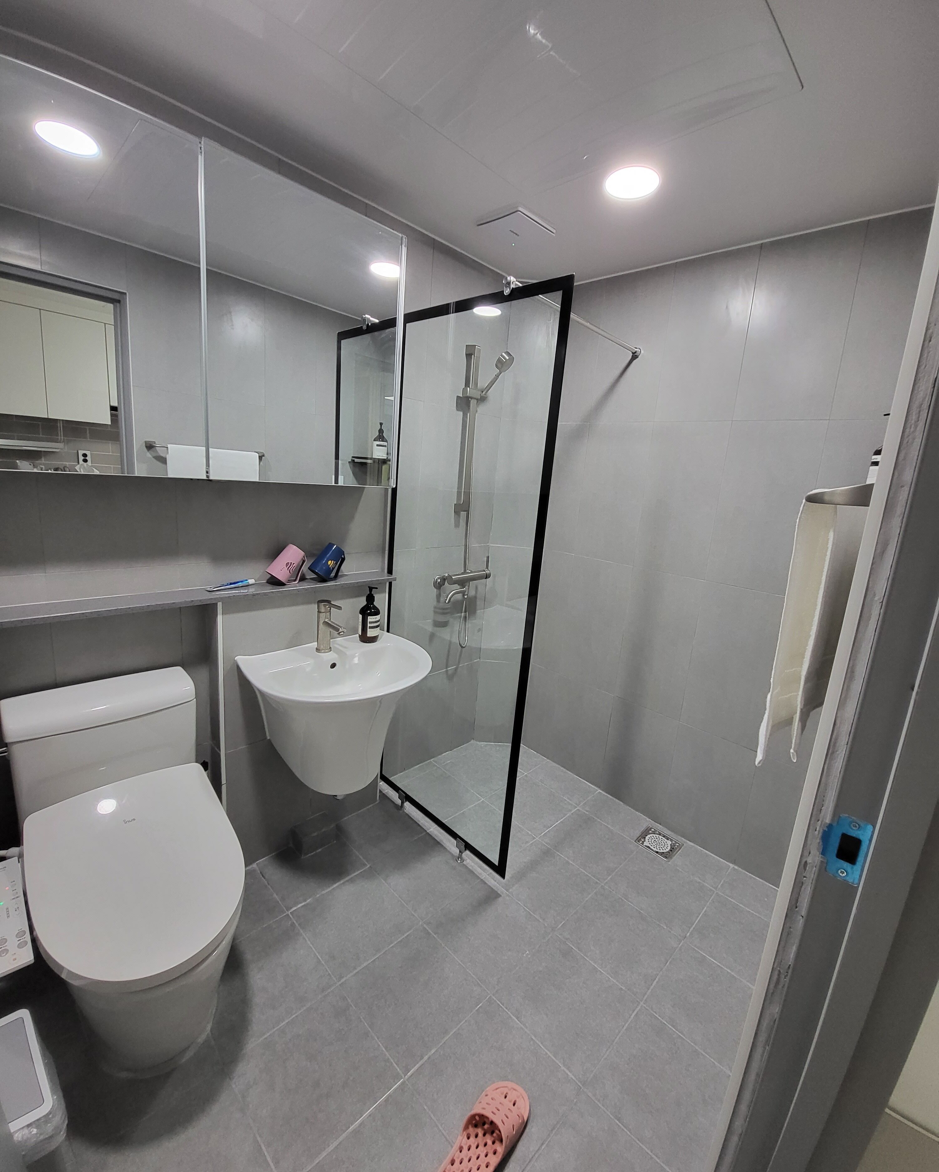 Shower, hair dryer, bidet, towels