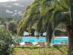Pool - Suite Olivier - Maison d'hôtes L'Espigoulié (Sainte-Maxime)