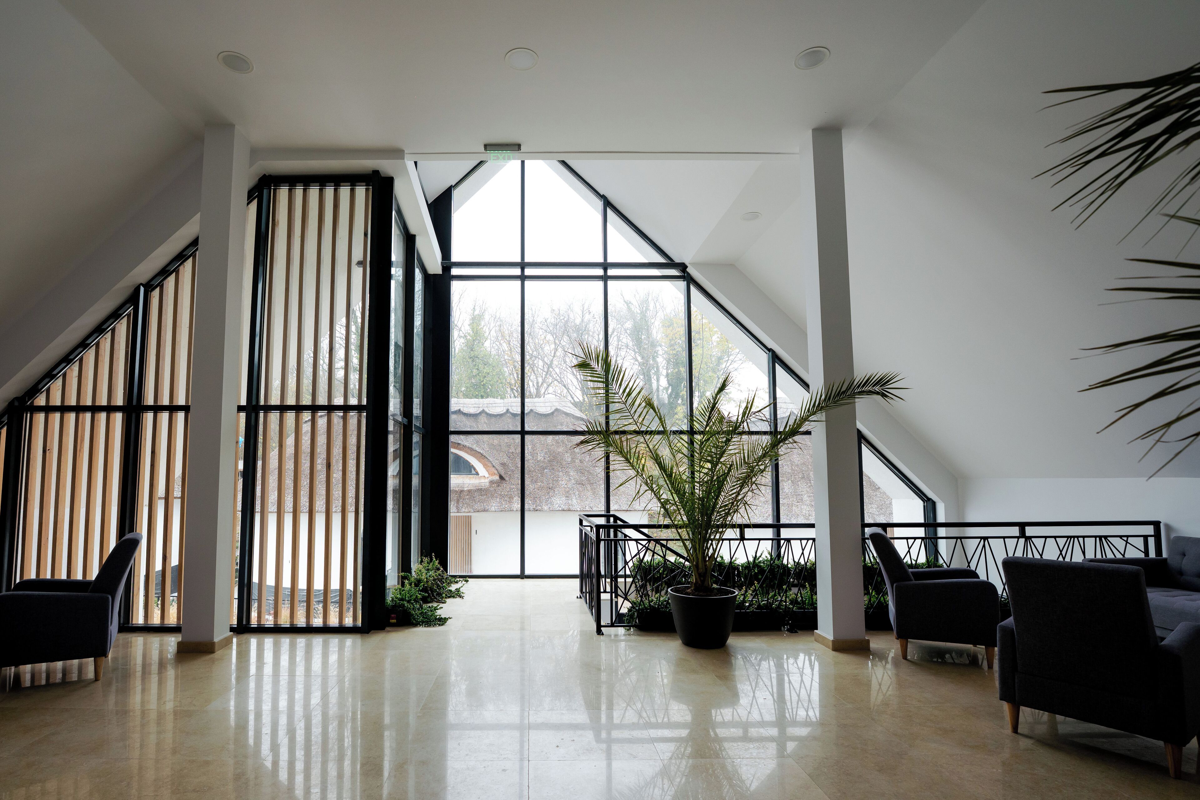A spacious room with large windows, a potted plant, and modern furniture.