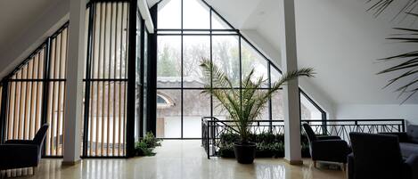 A spacious room with large windows, a potted plant, and modern furniture.