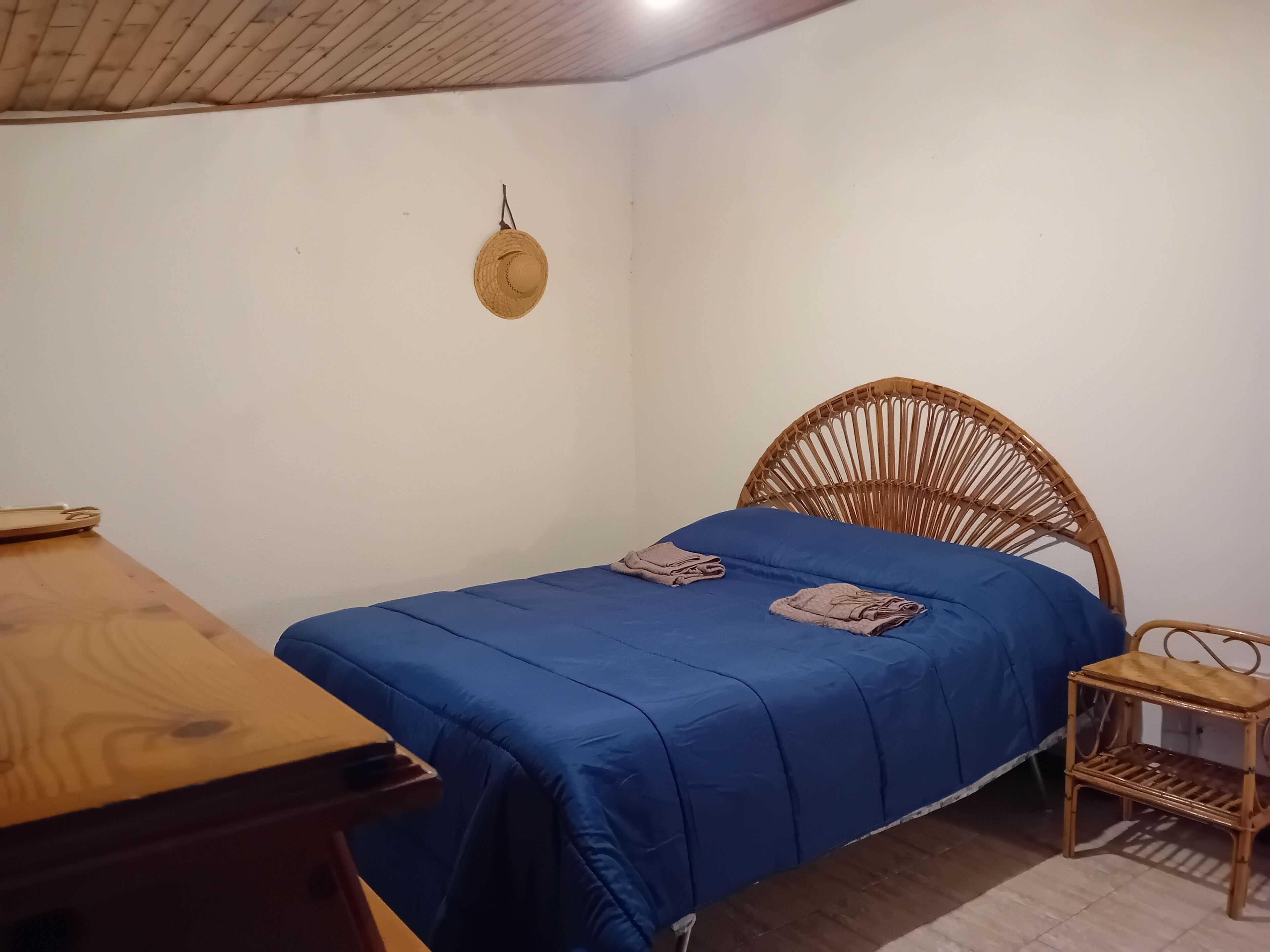 1 bedroom, iron/ironing board, bed sheets