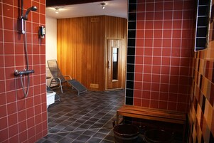 Appartement, fumeur | 1 chambre